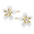 14K Oro amarillo (e-coating)