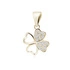 14K Oro amarillo (e-coating)
