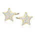 14K Gelbgold (e-coating)
