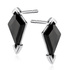 Rhodium \ Schwarz